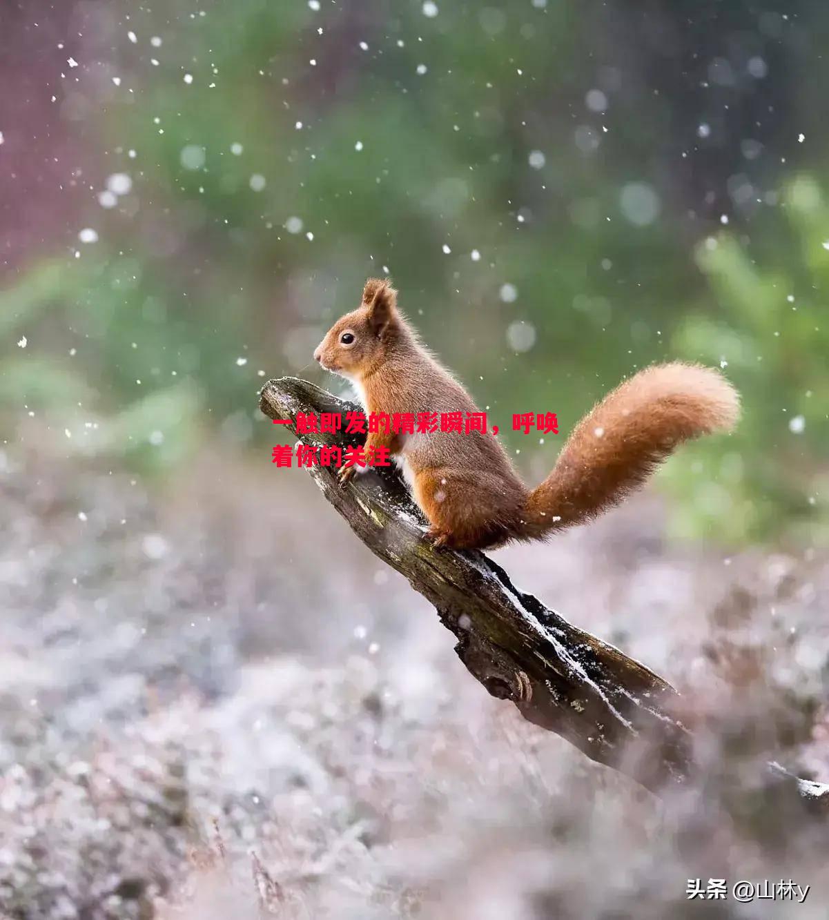 一触即发的精彩瞬间,呼唤着你的关注 一触即发的精彩瞬间,呼唤着你的关注