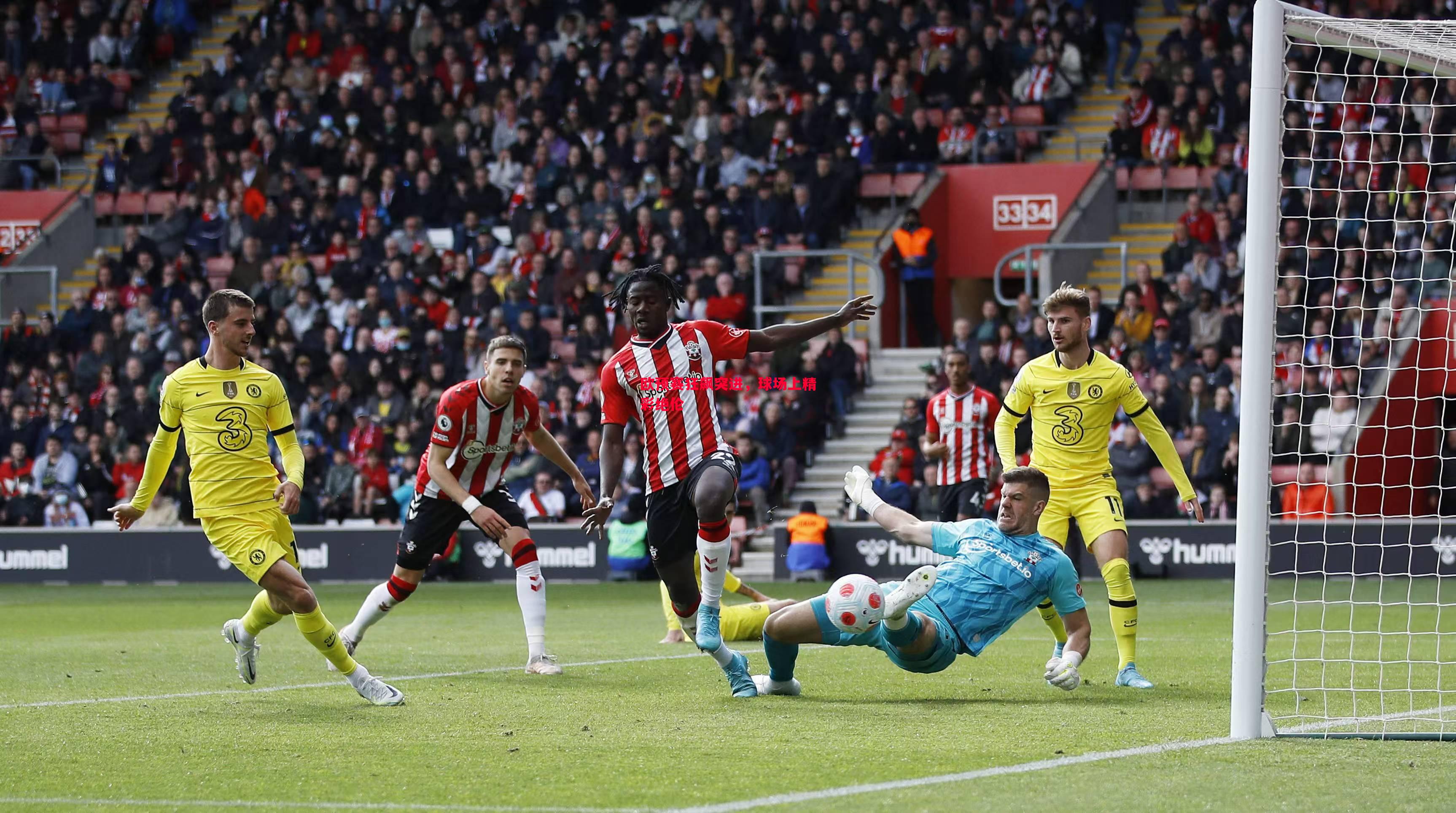 欧预赛狂飙突进,球场上精彩绝伦 欧预赛狂飙突进,球场上精彩绝伦