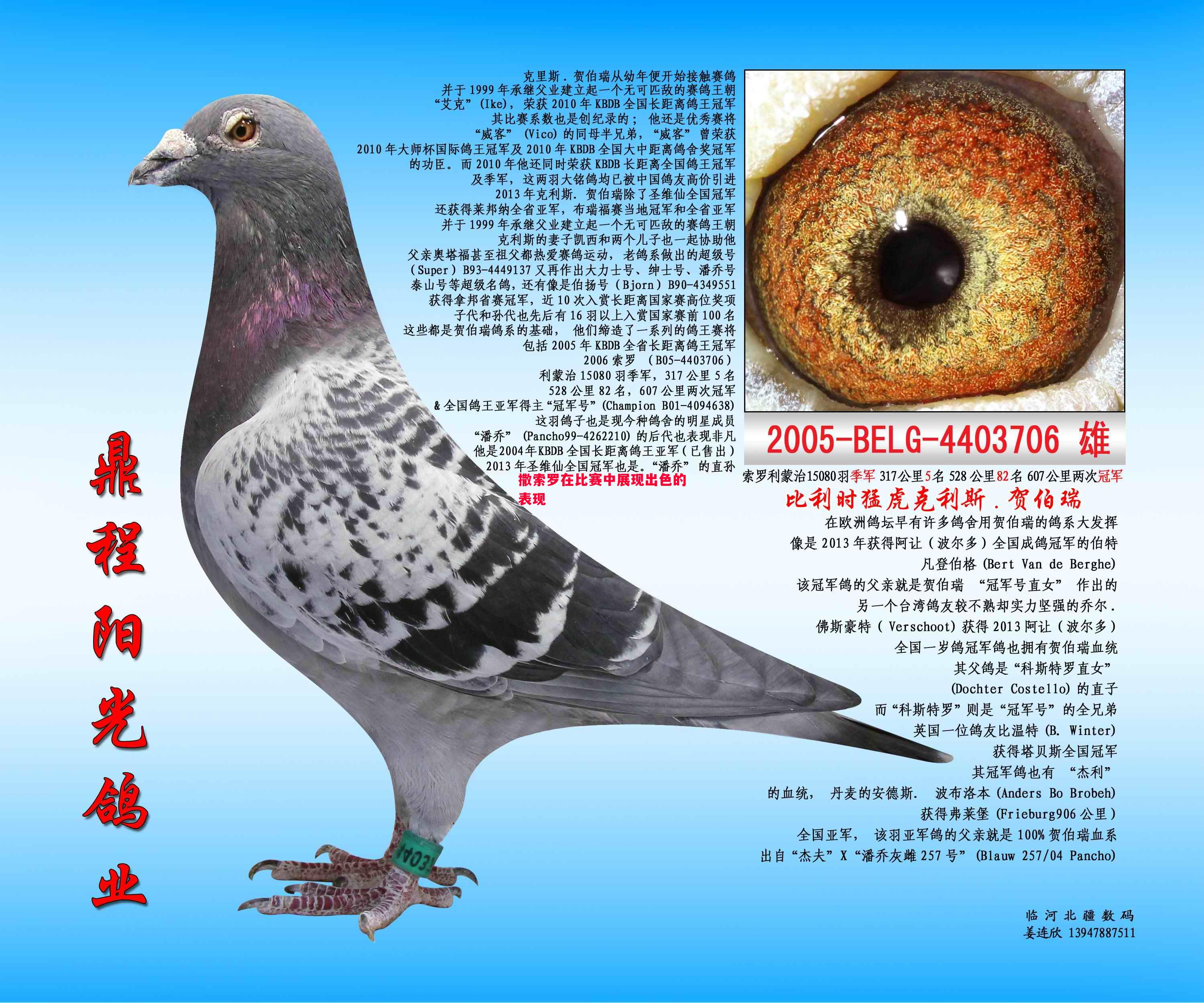 撒索罗在比赛中展现出色的表现 撒索罗在比赛中展现出色的表现