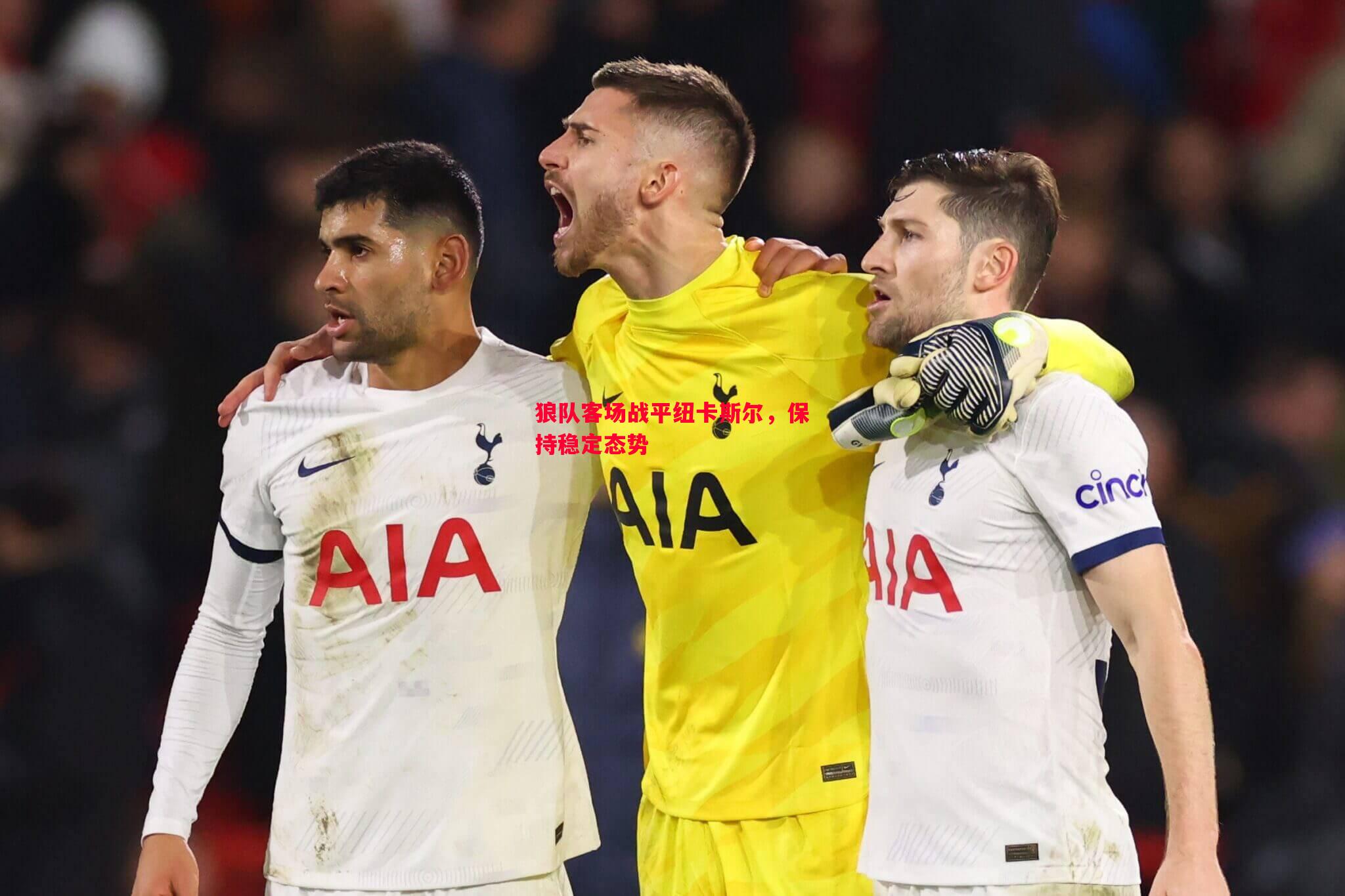 狼队客场战平纽卡斯尔,保持稳定态势 狼队客场战平纽卡斯尔,保持稳定态势