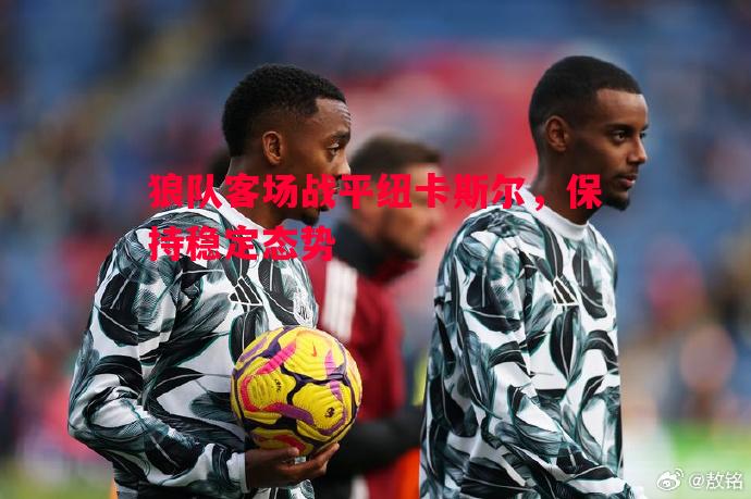 狼队客场战平纽卡斯尔,保持稳定态势 狼队客场战平纽卡斯尔,保持稳定态势