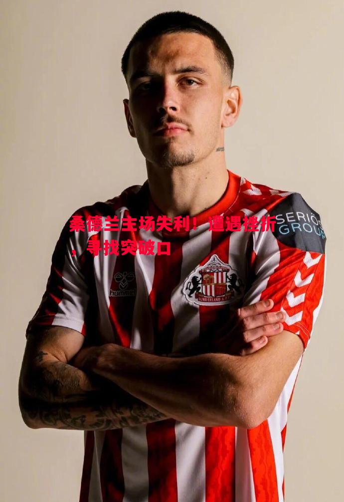 桑德兰主场失利!遭遇挫折,寻找突破口 桑德兰主场失利!遭遇挫折,寻找突破口