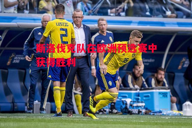 德信体育-斯洛伐克队在欧洲预选赛中获得胜利