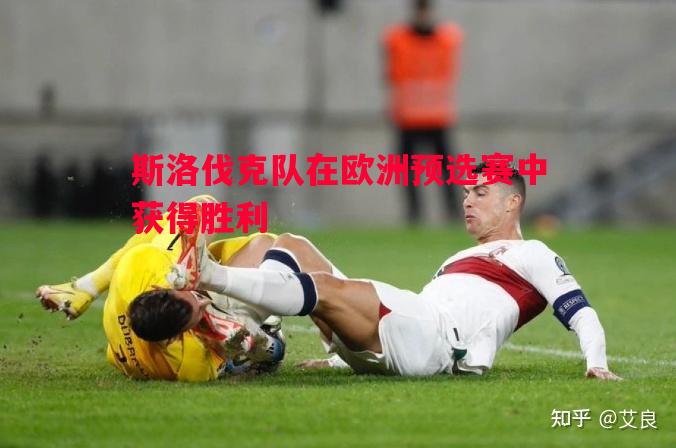 斯洛伐克队在欧洲预选赛中获得胜利