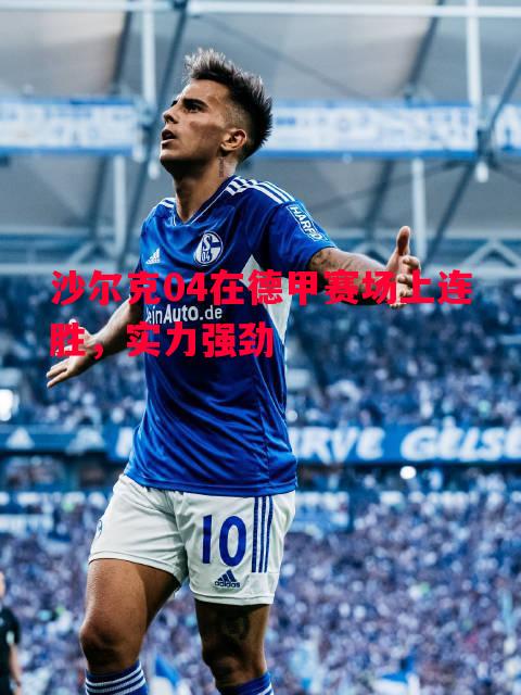 沙尔克04在德甲赛场上连胜,实力强劲 沙尔克04在德甲赛场上连胜,实力强劲
