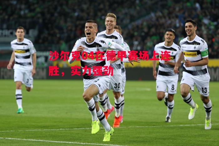 沙尔克04在德甲赛场上连胜,实力强劲 沙尔克04在德甲赛场上连胜,实力强劲