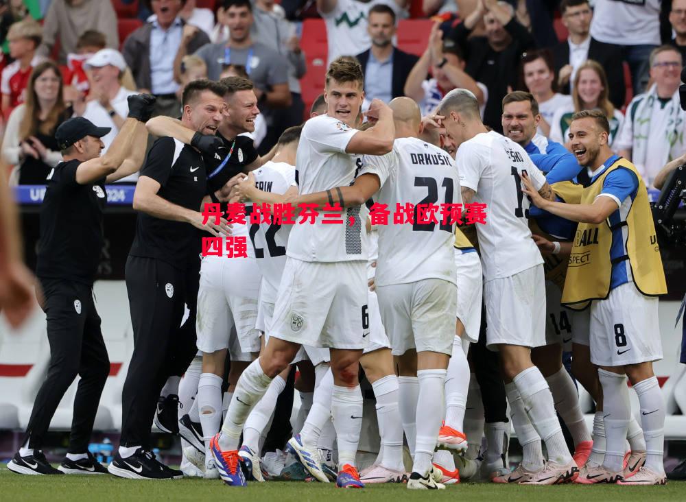 丹麦战胜芬兰,备战欧预赛四强 丹麦战胜芬兰,备战欧预赛四强