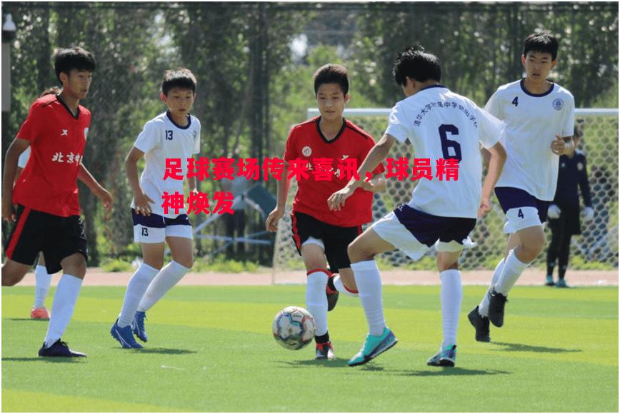 足球赛场传来喜讯,球员精神焕发 足球赛场传来喜讯,球员精神焕发