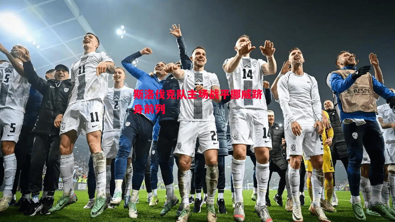 斯洛伐克队主场战平挪威跻身前列 斯洛伐克队主场战平挪威跻身前列