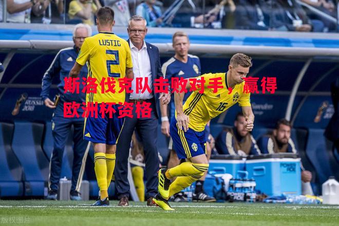 斯洛伐克队击败对手,赢得欧洲杯资格 斯洛伐克队击败对手,赢得欧洲杯资格