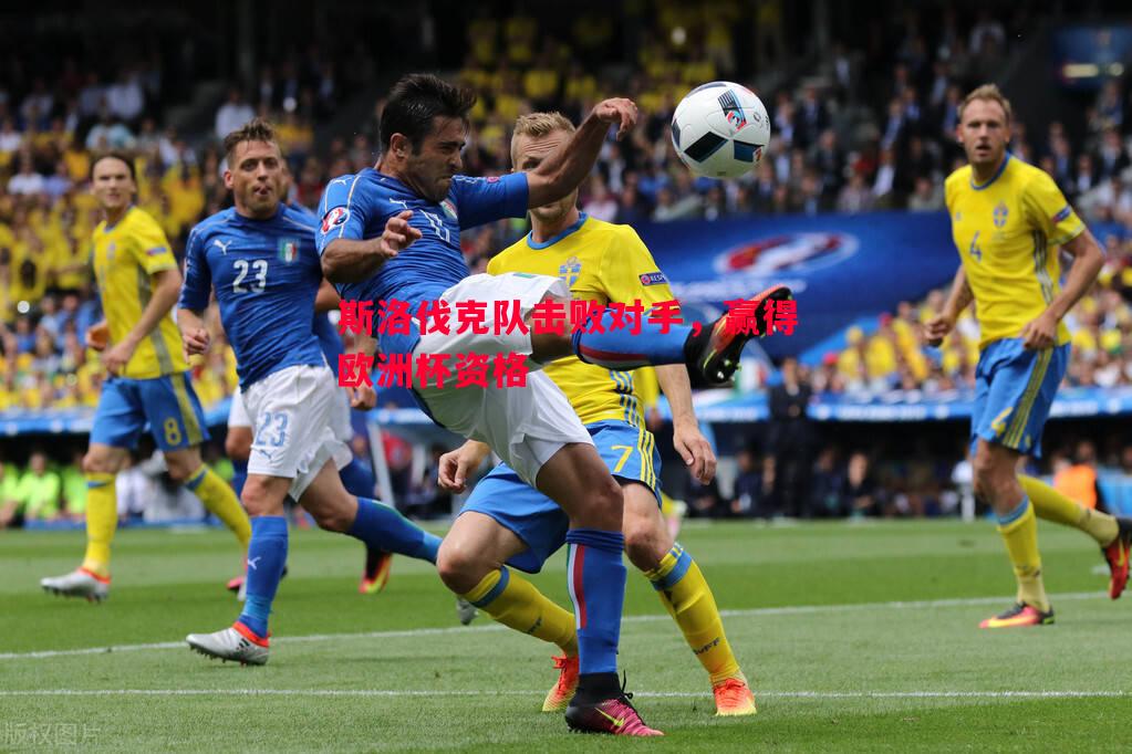 斯洛伐克队击败对手,赢得欧洲杯资格 斯洛伐克队击败对手,赢得欧洲杯资格