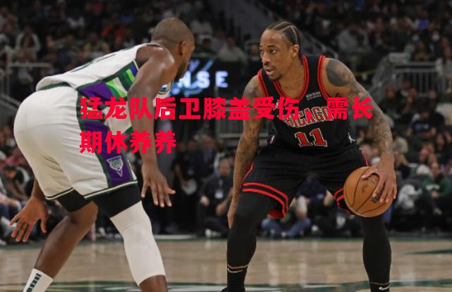 猛龙队后卫膝盖受伤,需长期休养养 猛龙队后卫膝盖受伤,需长期休养养
