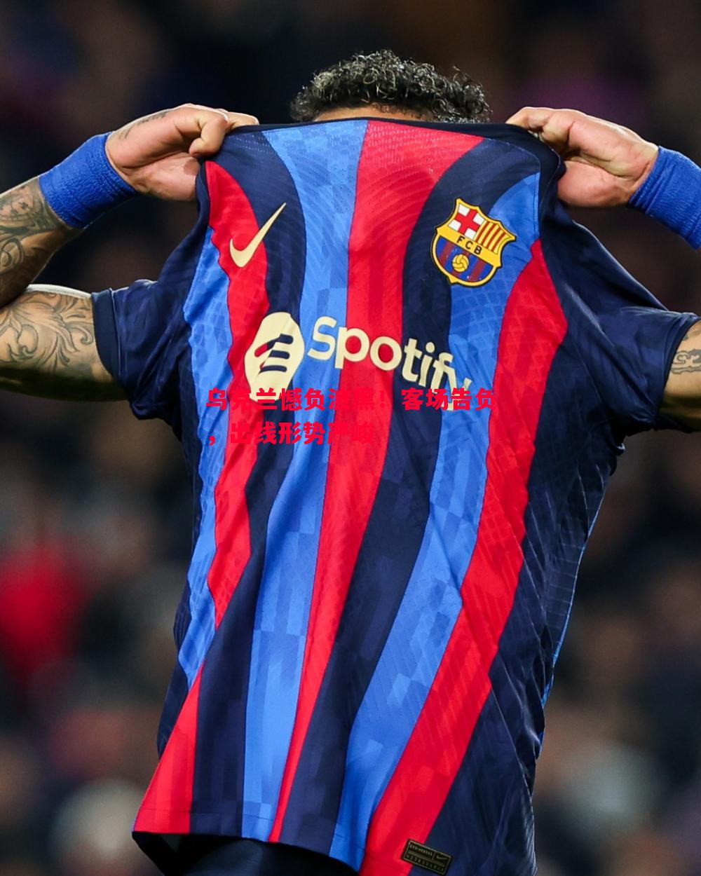 乌克兰憾负波黑!客场告负,出线形势严峻 乌克兰憾负波黑!客场告负,出线形势严峻