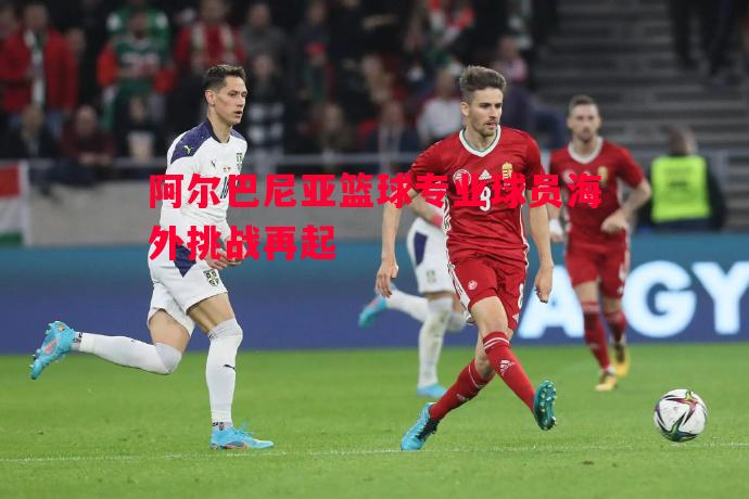 阿尔巴尼亚篮球专业球员海外挑战再起 阿尔巴尼亚篮球专业球员海外挑战再起