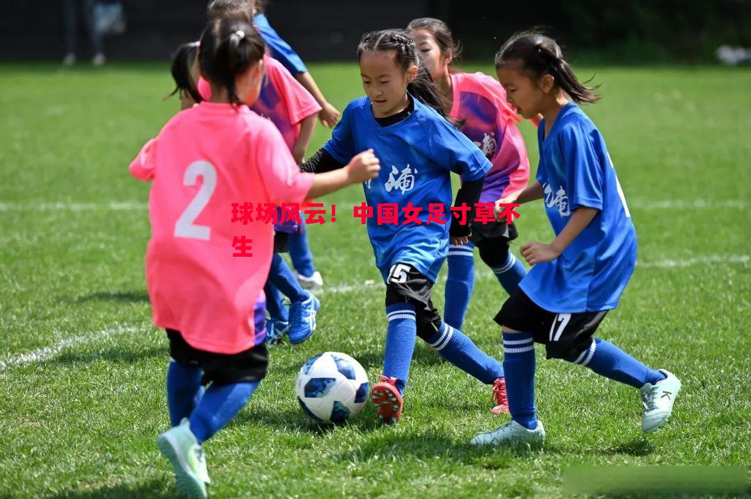 德信官网下载-球场风云！中国女足寸草不生