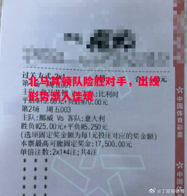 北马其顿队险胜对手,出线形势渐入佳境 北马其顿队险胜对手,出线形势渐入佳境