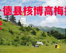 德信体育-格拉一德县核博高梅拉斯遭门志安