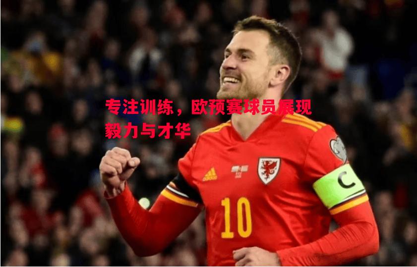 专注训练,欧预赛球员展现毅力与才华 专注训练,欧预赛球员展现毅力与才华