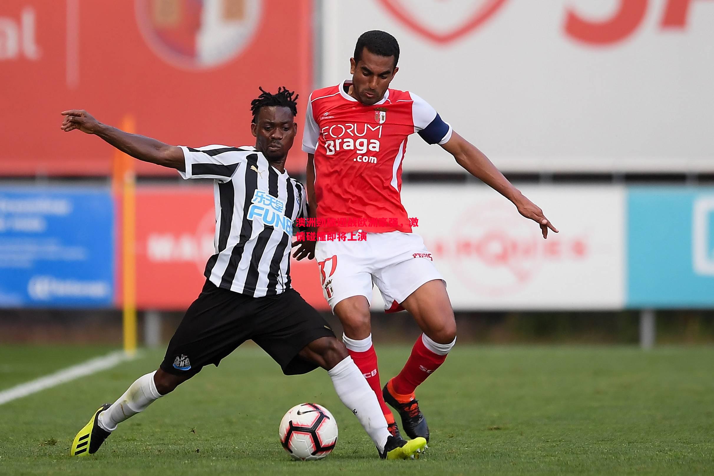 澳洲劲旅迎战欧洲豪强,激情碰撞即将上演 澳洲劲旅迎战欧洲豪强,激情碰撞即将上演