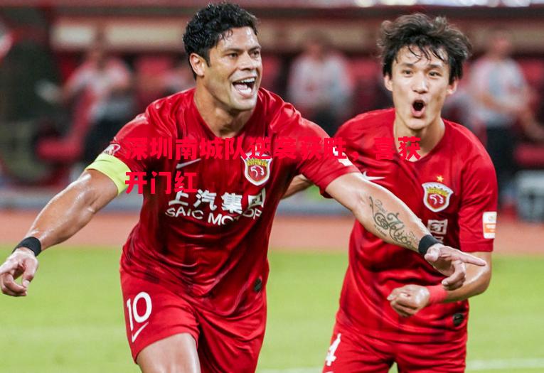 深圳南城队逆袭获胜,喜获开门红 深圳南城队逆袭获胜,喜获开门红