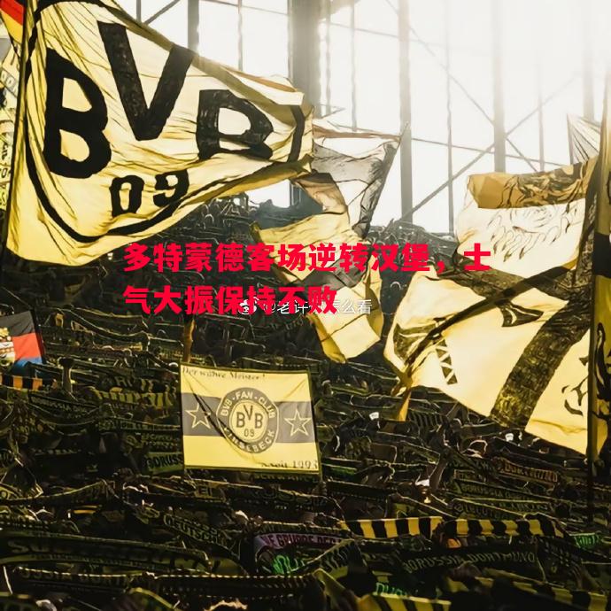 多特蒙德客场逆转汉堡,士气大振保持不败 多特蒙德客场逆转汉堡,士气大振保持不败