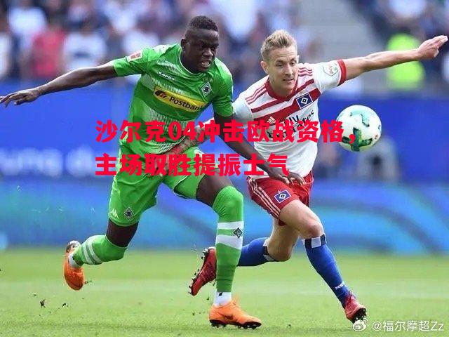 沙尔克04冲击欧战资格,主场取胜提振士气 沙尔克04冲击欧战资格,主场取胜提振士气