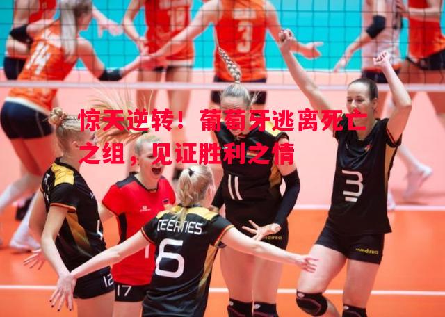 惊天逆转!葡萄牙逃离死亡之组,见证胜利之情 惊天逆转!葡萄牙逃离死亡之组,见证胜利之情
