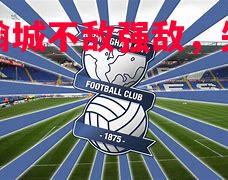 伯明翰城不敌强敌,失分不让 伯明翰城不敌强敌,失分不让