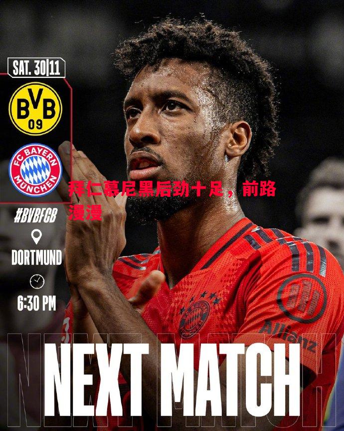 拜仁慕尼黑后劲十足,前路漫漫 拜仁慕尼黑后劲十足,前路漫漫