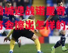 伯明翰城迎战诺里奇,双方碰撞将会擦出怎样的火花? 伯明翰城迎战诺里奇,双方碰撞将会擦出怎样的火花?
