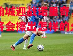伯明翰城迎战诺里奇,双方碰撞将会擦出怎样的火花? 伯明翰城迎战诺里奇,双方碰撞将会擦出怎样的火花?