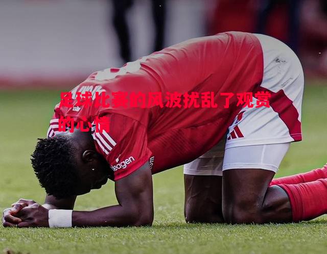 足球比赛的风波扰乱了观赏的心情 足球比赛的风波扰乱了观赏的心情